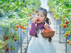 STRAW VILLAGE(XgBbW)̎ʐ^1