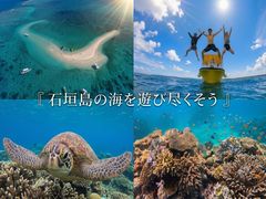 しまじかんの写真1