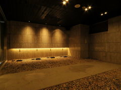 z΃~l mineral spa by arashi no yu̎ʐ^1