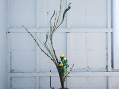 IKEBANA STUDIO ΂ȋ Ԃ̎ʐ^1