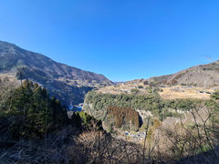 ���̖������{�̎ʐ^1