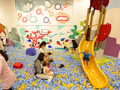 {[lh т̂ RN[VeBܐVsSX̎ʐ^1