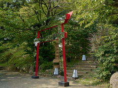 曽我浅間神社の写真1
