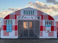 �|�|�̂��������̎ʐ^1