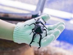 ZEXER SPORTS STUDIO̎ʐ^1