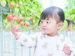 山万ユーカリファームの写真1