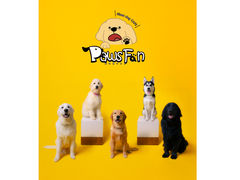 ^JtF PawsFan̎ʐ^1