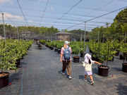 BB Farm �^�����̎ʐ^3