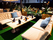 ��g�r�A�K�[�f�� BBQ�e���X �Ȃ�ΐS�֋��X�̎ʐ^3