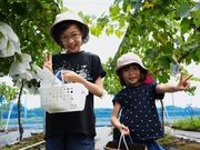 �A�O���[���p�[�N �F�s�{�Ԃǂ��̓m�̎ʐ^4