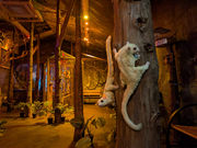 q~ăJtF/GaraMomoCAFE ~KJtF~̎ʐ^3