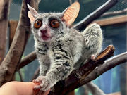 q~ăJtF/GaraMomoCAFE ~KJtF~̎ʐ^4