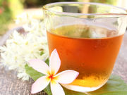 GXe&N[[VSPApocota̎ʐ^4