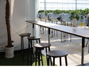 �܂�Ղ� ���������̎ʐ^4