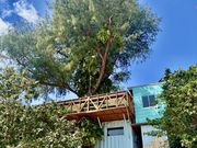 ���ꃊ�o�e�B�}�����N���u�̎ʐ^3