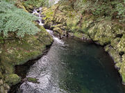 �X�̗d���̎ʐ^3