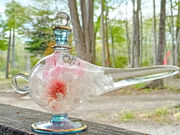 �ߐ{-omo-�̎ʐ^3