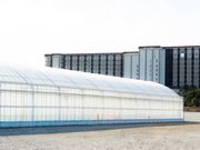 �O�����t�@�[���̎ʐ^4