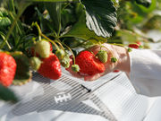 �O�����������p�[�N�̎ʐ^4