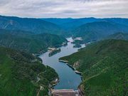 {Y|䂸ƐXѓSKCh̎ʐ^2