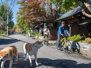 Akita Inaka Travel̎ʐ^2