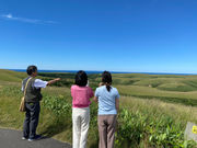 kόKChT[rXTE_[W̎ʐ^4