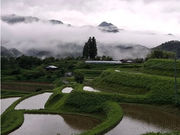 ���̖������{�̎ʐ^3