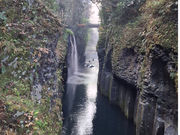 ���̖������{�̎ʐ^4