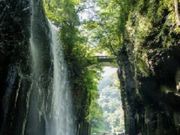 ���̖������{�̎ʐ^2