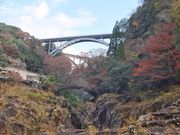 ���̖������{�̎ʐ^3