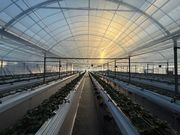 ���т�䕉��̎ʐ^3