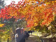 konomi no guide | kiso̎ʐ^2