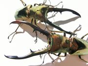 ZEXER SPORTS STUDIO̎ʐ^3