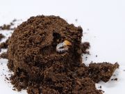 ZEXER SPORTS STUDIO̎ʐ^4