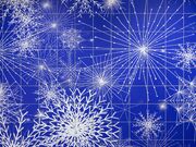 �T���h���E�V���g�w�����̂��߂̉F���_�x�̎ʐ^4