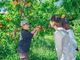 MOMONA Peach Farm̎ʐ^3