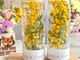 riru.m flower̎ʐ^3