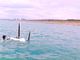 Hydrofoil Bike̎ʐ^4