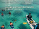 discovery okinawa̎ʐ^3