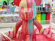 MYBEAR STUDIO É̎ʐ^4