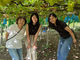 yfarm̎ʐ^3