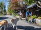 Akita Inaka Travel̎ʐ^2