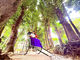 Ԓ~Bise~̎ʐ^3