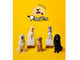 ^JtF PawsFan̎ʐ^3