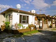 Birdland Cafe o[hhJtF̎ʐ^1