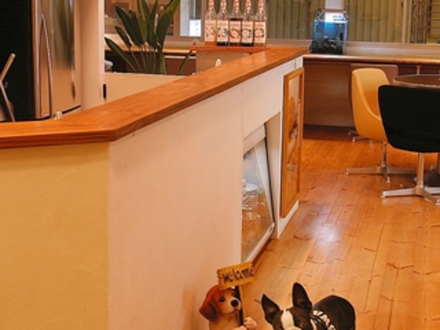 �h�b�O�J�t�F �v�b�`�[�j�̎ʐ^1