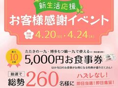   yYX̎ʐ^1