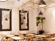 AeB[J sbcFA _ ~P[ b̎ʐ^1