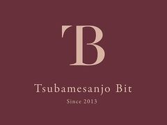 Tsubamesanjo Bit ���O��{�X�̎ʐ^1