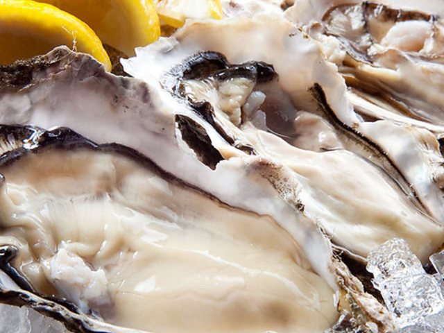 �D�y�w�k������ �߂��Ə��Ă̎ʐ^1